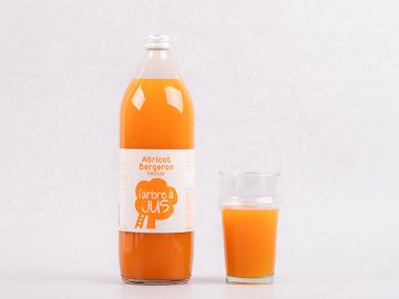 NECTAR D'ABRICOT BERGERON 1L